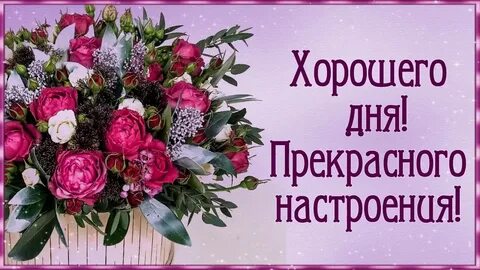 Видео открытка с пожеланиями хорошего дня