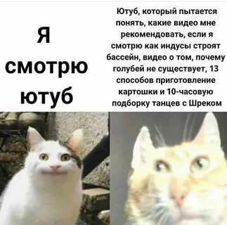 Ютуб пикабу