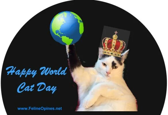 World Cat Day. Happy World Cat Day. Всемирный день кошек (World Cat Day). World Cat Day 8 August.