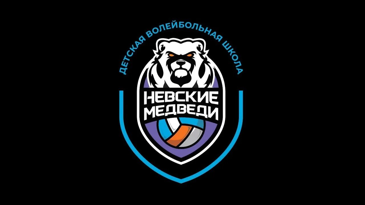 Невские медведи. Шторм ленинград хоккейная команда. Невские медведи. Невские медведи волейбол спб. Студенческая хоккейная лига спб.
