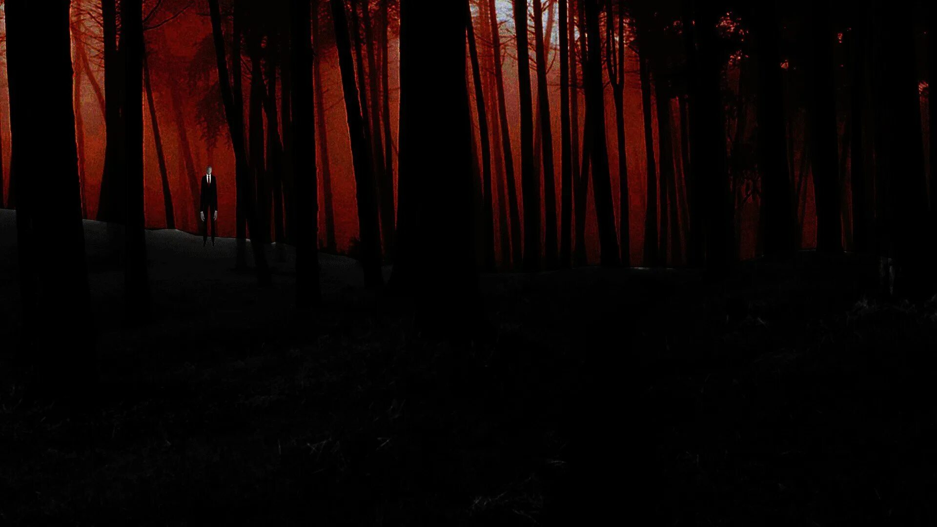 Живой черный фон. Твин пикс лес. Страшный лес. Ночной лес. Мрачный лес.