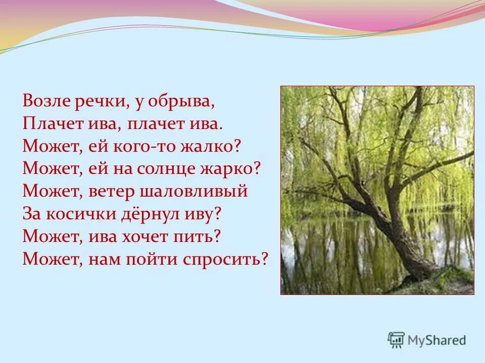 Плачет ива слезами горючими грамматическая основа. Токмакова Ива. Плачет Ива плачет Ива стих. Возле речки у обрыва плачет Ива. Возле речки у обрыва плачет Ива Ива Ива.