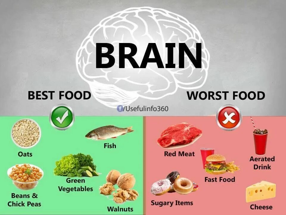 Good brain. Food for Brain. Which food healthy for the Brain. Worst food. Branini EOOD.