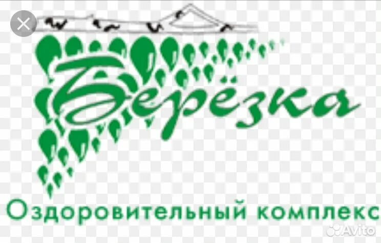 Компания березка. Лагерь Березка логотип. ООО ок Березка Ижевск. Гостиничный комплекс берёзка логотип. Оздоровительный комплекс логотип.