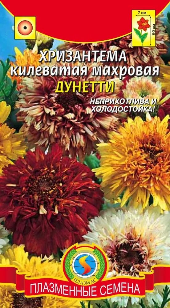 Хризантема килеватая семена. Хризантема Дунетти махровая. Хризантема килеватая махровая Дунетти. Хризантема Дунетти махровая смесь.