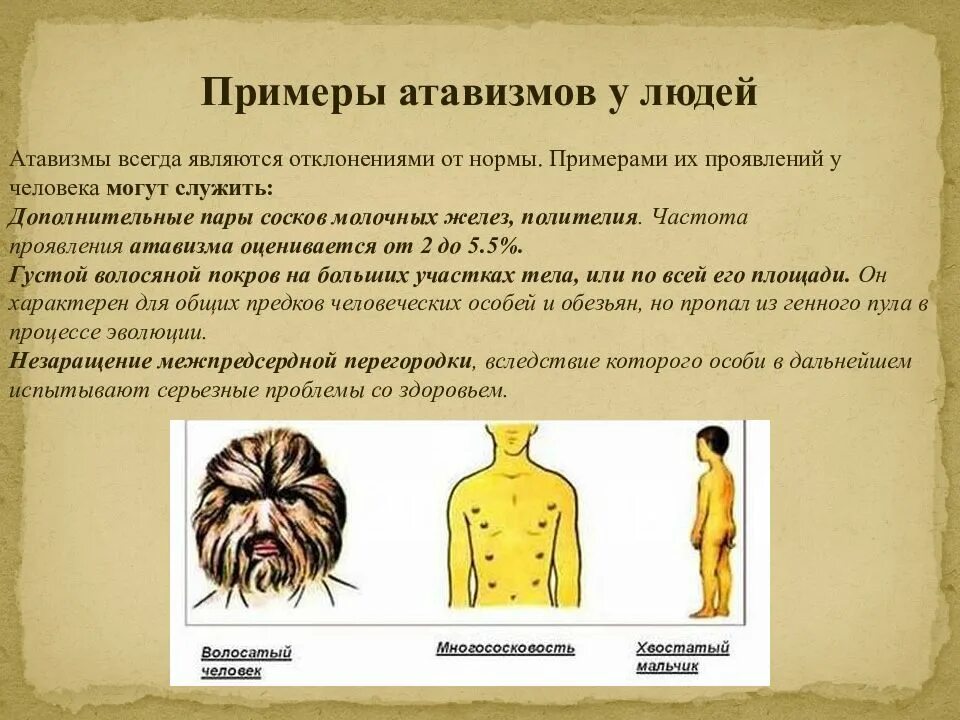 Дайте определение атавизмам приведите примеры. Атавизмом у человека является. проявление атавизма у человека. атомизм у человека примеры.