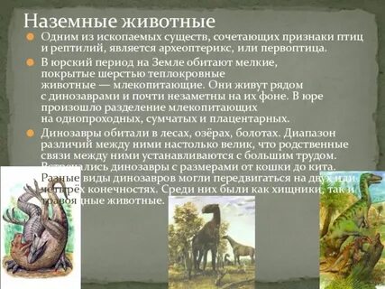 В какой эре появились первые теплокровные животные