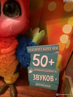 Кеша отзывы
