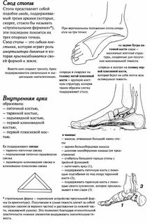 Болят ноги в голеностопе причины