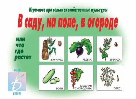 Что растет в лесу средняя группа конспект