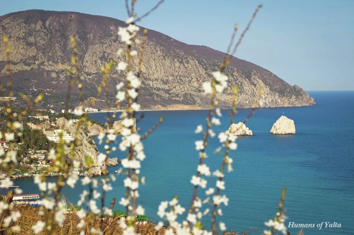 Какой праздник 10 апреля в крыму. Крым весной Ялта. Ялта март.