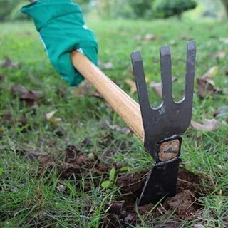 Black hoe
