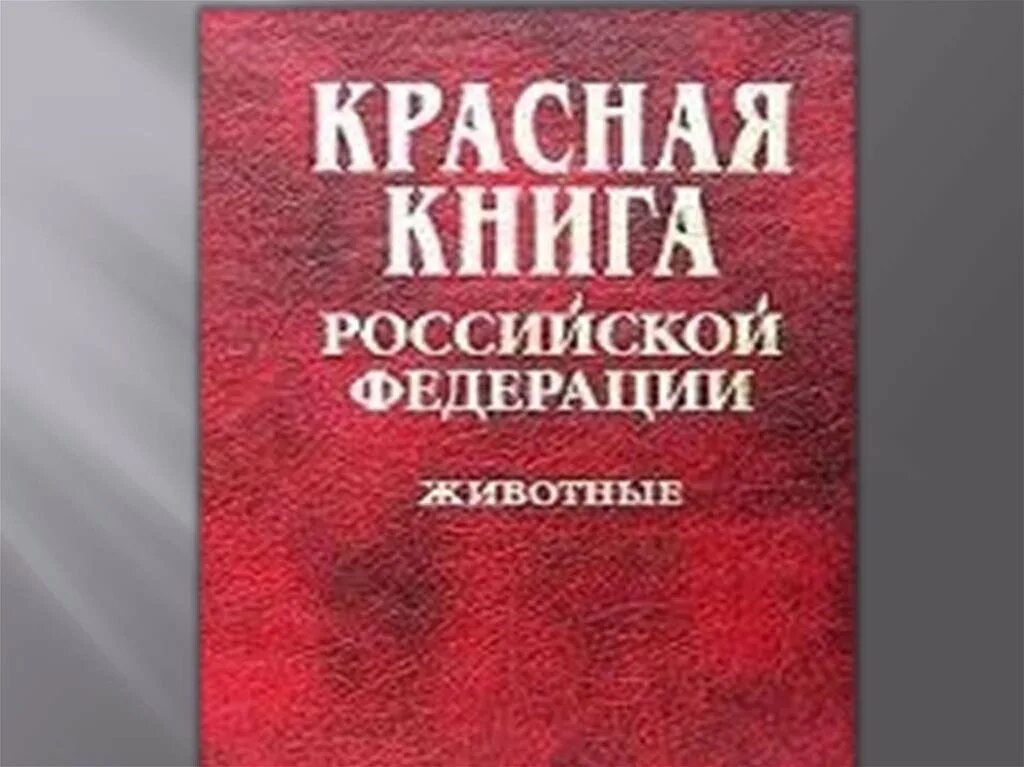 Красная книга фото. Красная книга Российской Федерации. Красная книга России 2001. Красная книга РФ 2001 года. Красная книга Российской Федерации обложка.