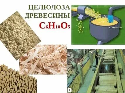 Каким способом можно получить картон из древесины