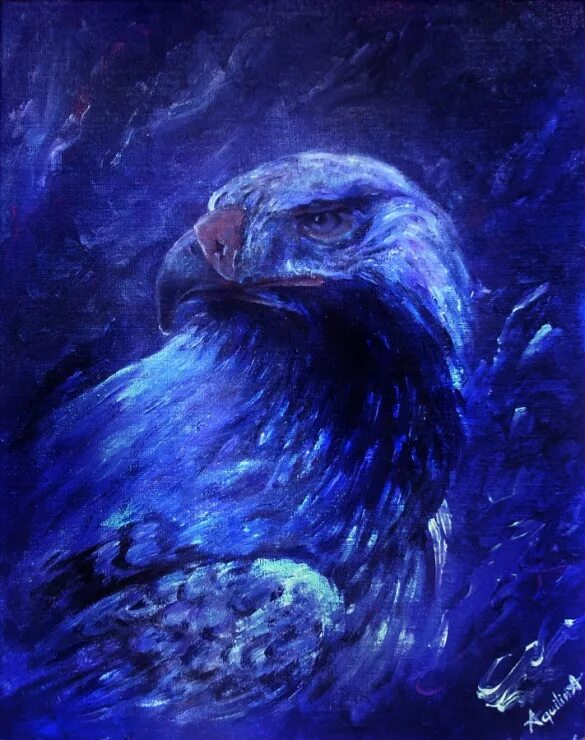 Голубой орел фото Pin on BaldEagles Bald eagle, Eagles, Types of eagles
