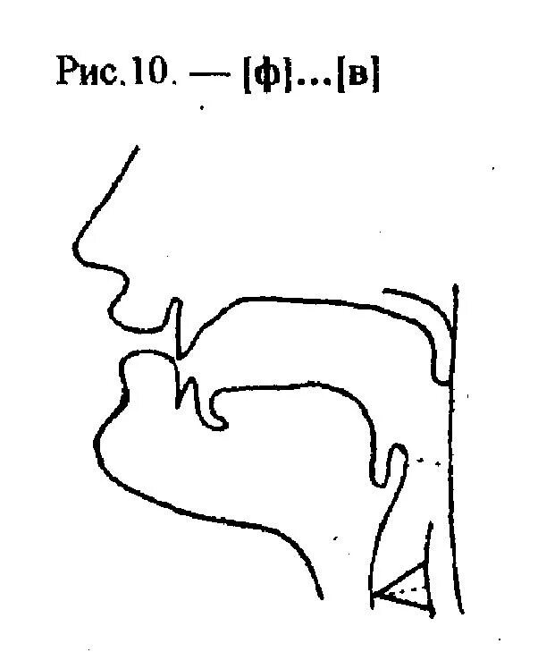 Артикуляция б. Артикуляционный уклад звука ф. Профиль артикуляции звука ф. Артикуляционный профиль звука ф фь. Артикуляционный уклад звука с.