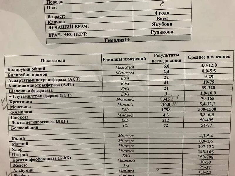 Альфа-амилаза норма у женщин. Альфа амилаза анализ крови норма. Нормальные показатели амилазы. Норма альфа амилазы в крови у мужчин. Альфа амилаза биохимия крови норма.