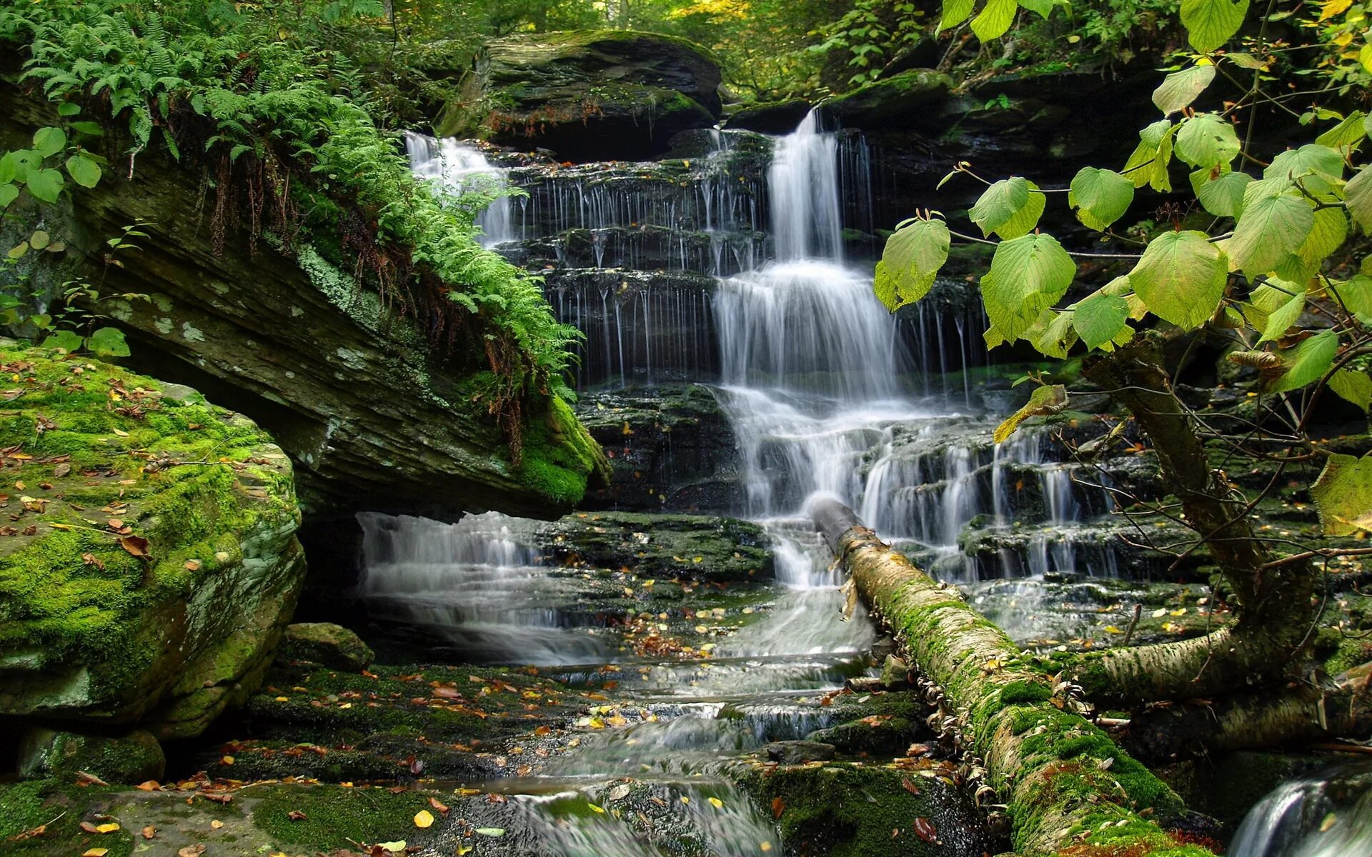 Установить на экране природу. Ручей Джалон. Красивые водопады. Вода в природе. Красивые пейзажи с водопадами.