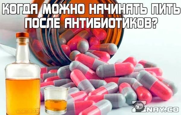 Антибиотики и алкоголь. После антибиотиков можно пить алкоголь. Через сколько после антибиотика можно пиво