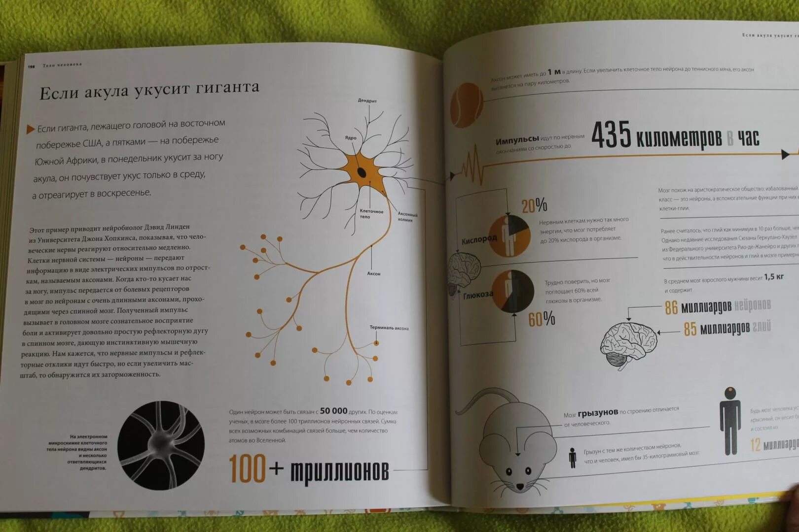 Аналогия к книге. Книга аналогии. Леви большая книга аналогий. Леви джоэл, большая книга аналогий, москва, 2018. Книга аналогии.