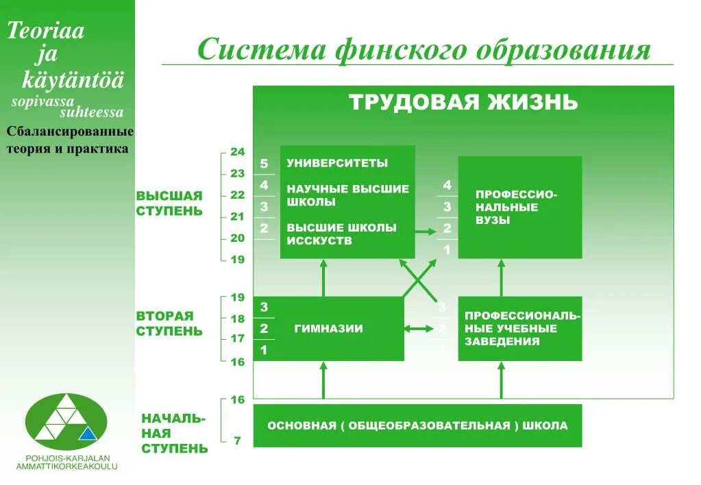 Уровни системы образования Финляндии. Система образования в Финляндии схема. Структура финского образования. Структура образования в Финляндии.