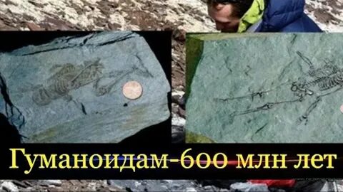 1000000 миллионов лет