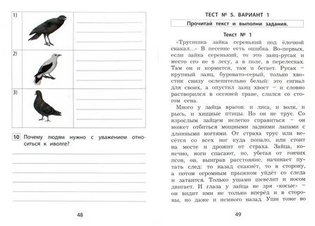 Диагностика читательской