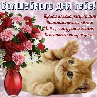 Хороший добрый сайт