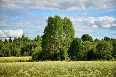 Скачай новую родную