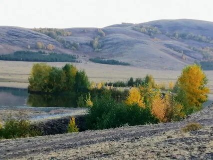 Старый сибай