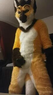 Fursuit penis ♥ Murrsuit Pictures - Murrsuit MOTHERLESS.COM ™ 