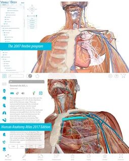 Anatomy education