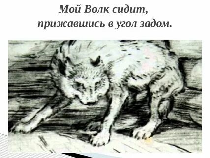 Нарисовать басню волк на псарне