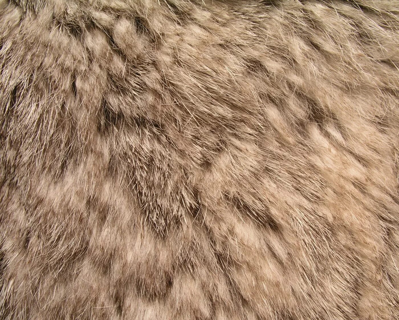 мех животных. шерсть животных. мех текстура. ценная шерсть зверя palworld. мех фактура.