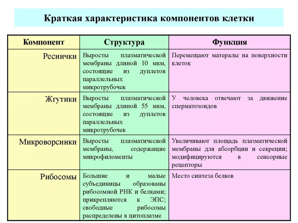 Жизненные функции клеток