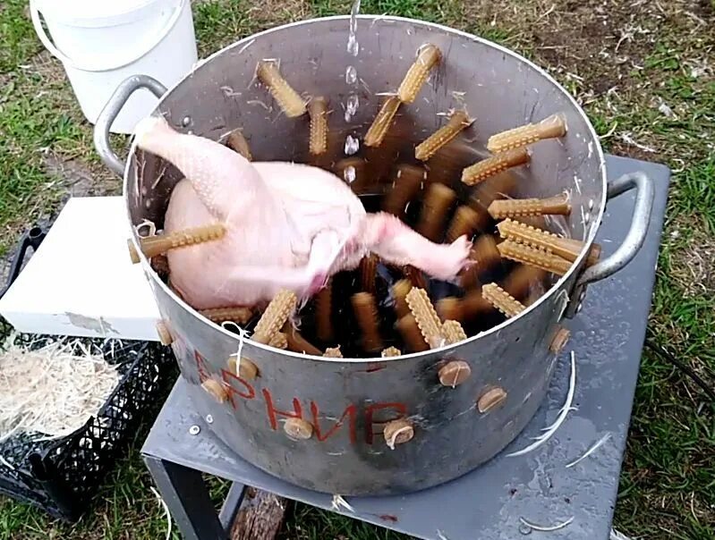 Попал как в ощип