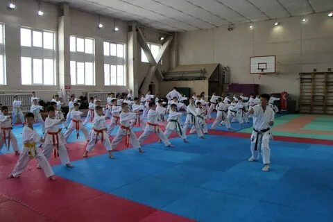 Спортивная школа восточных единоборств