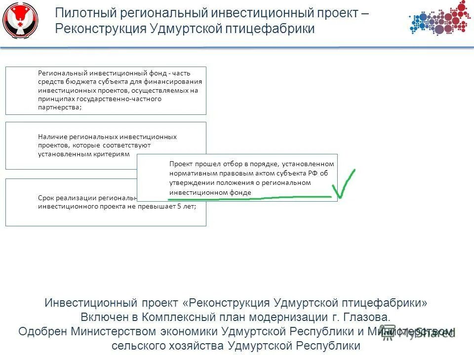 Региональный пилотный проект. Региональный инвестиционный стандарт. Региональный инвестиционный стандарт 2. Дуальное обучение презентация. Региональный пилотный проект.