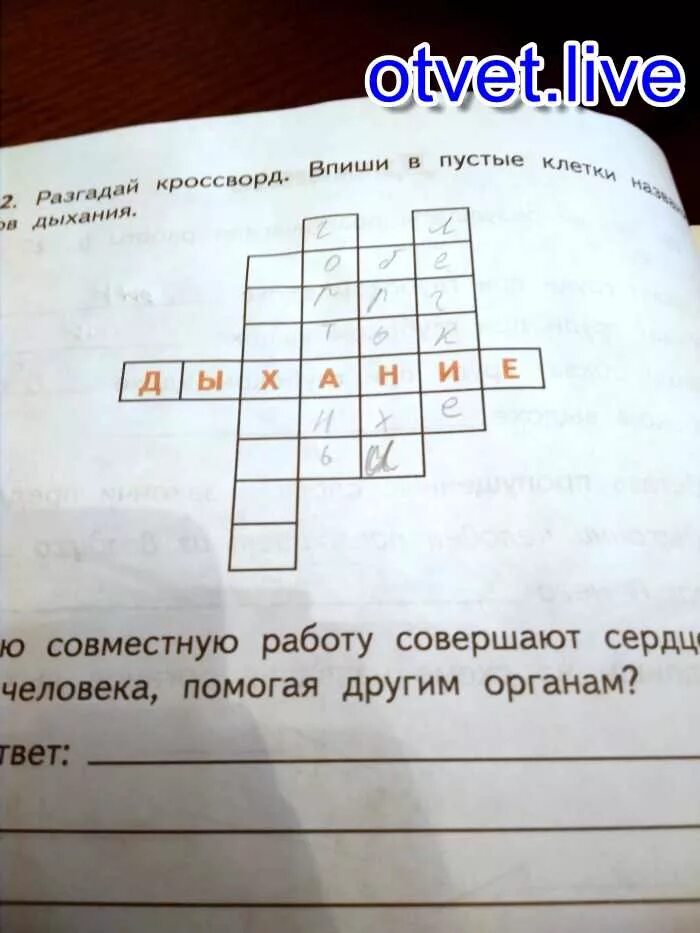 Разгадай кроссворд описание чьей либо жизни. Разгадай кроссворд впиши в клетки названия. Впиши в клетки названия животных. Разгадай кроссворд впиши в клетки названия органов. Впиши в клетки свойства животного организма.