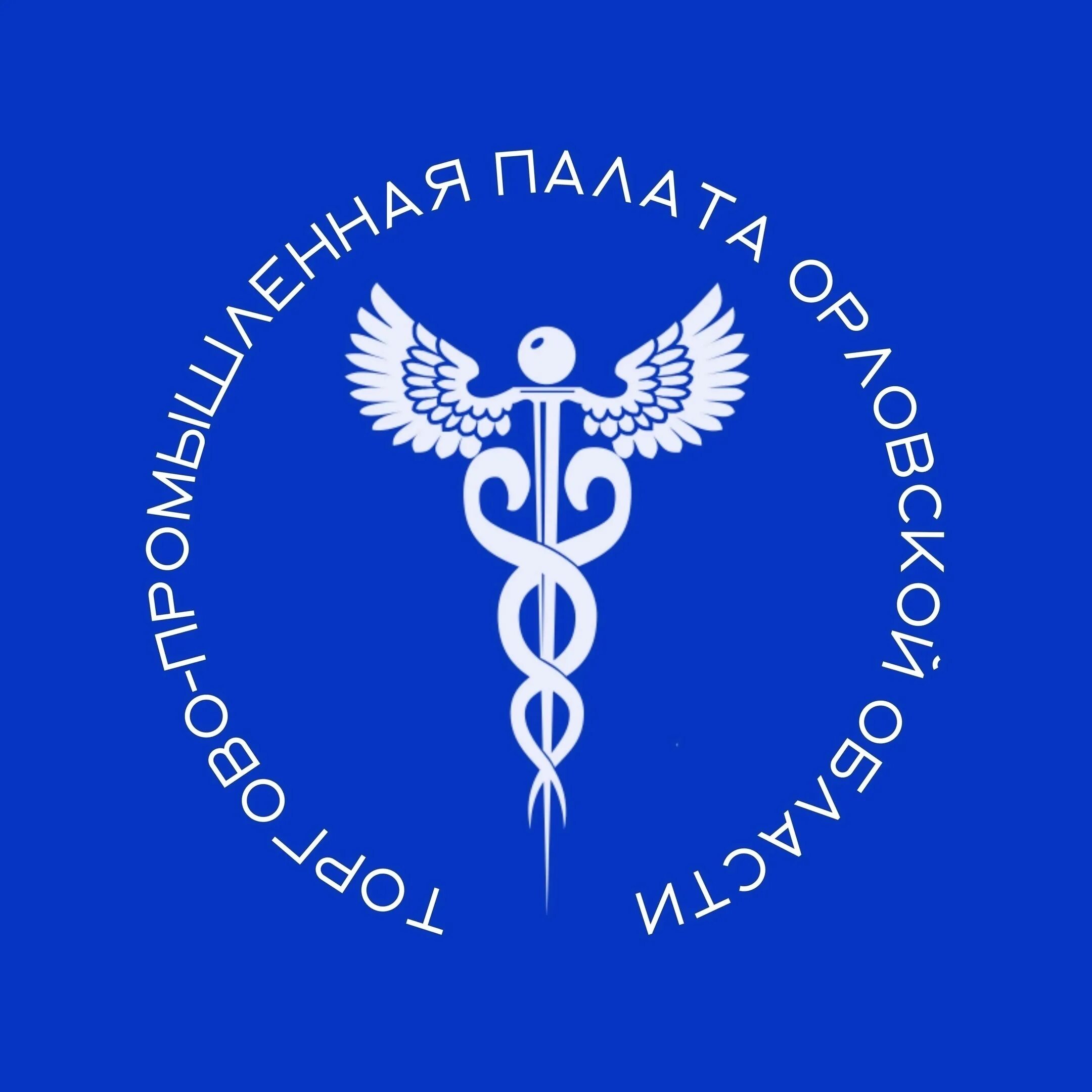Орловская промышленная палата. Торгово промышленная палата лого. Орловская промышленная палата. Орловская торгово промышленная палата. Орловская тпп логотип.