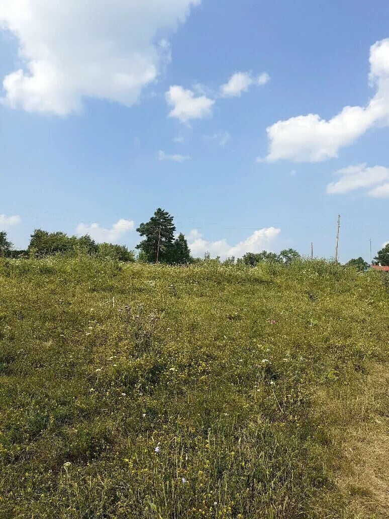 Погода в сарапулке мошковский новосибирская область
