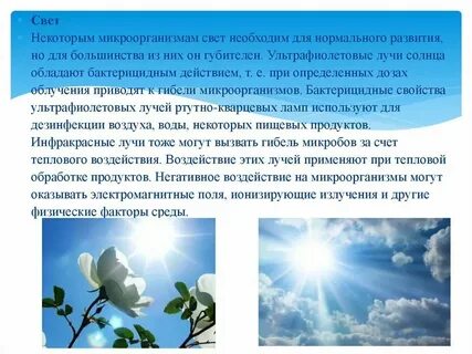 Оказывает бактерицидный эффект