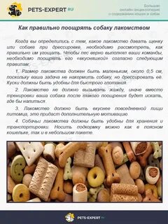 Когда давать щенку можно сухой