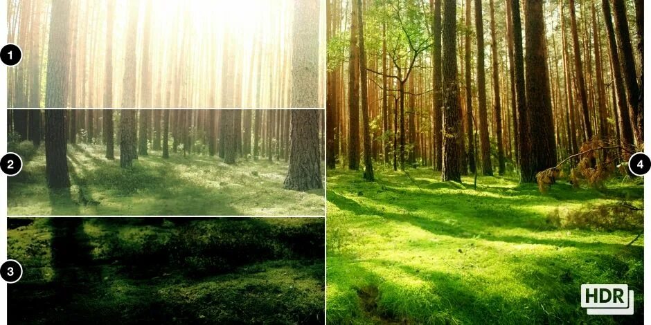 Hdr в смартфоне что это. Hdr что это в камере. hdr в фотоаппарате что это. динамический диапазон hdr. режим hdr.