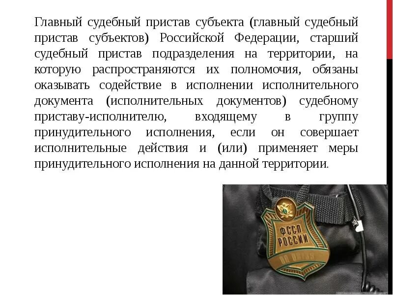 Полномочия главного пристава рф. Полномочия главного судебного пристава субъекта РФ. Полномочия старшего судебного пристава. Ответственность главного судебного пристава субъекта РФ. Главный судебный пристав субъекта РФ.