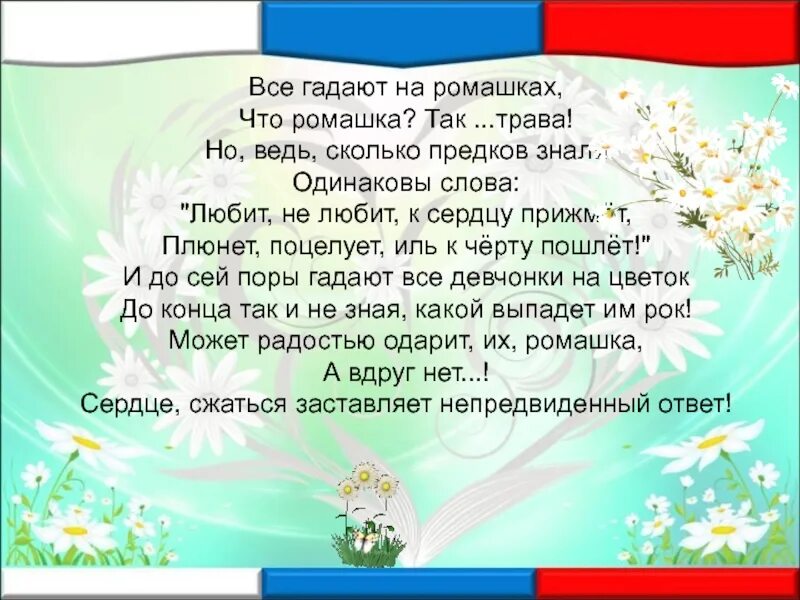 Гадать на ромашке. Погадаем на ромашке. Ромашка любит не любит. День гадания на ромашках. Гадание на ромашке любит