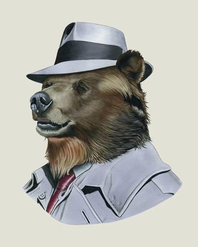 Животные шляпа. Медведь на аву. Животные в одежде. Медведь в галстуке. Медведь в пиджаке.