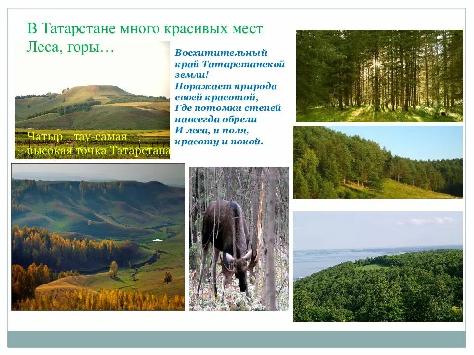 Разнообразие природы родного края татарстан. Природа родного края татарстан. презентация на тему татарстан мой родной край. природа татарстана презентация. разнообразие природы татарстана.