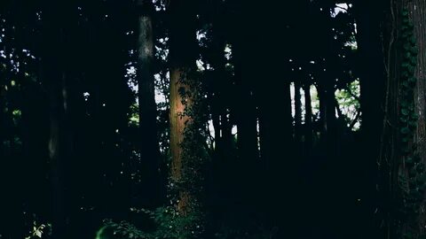 Leave the dark