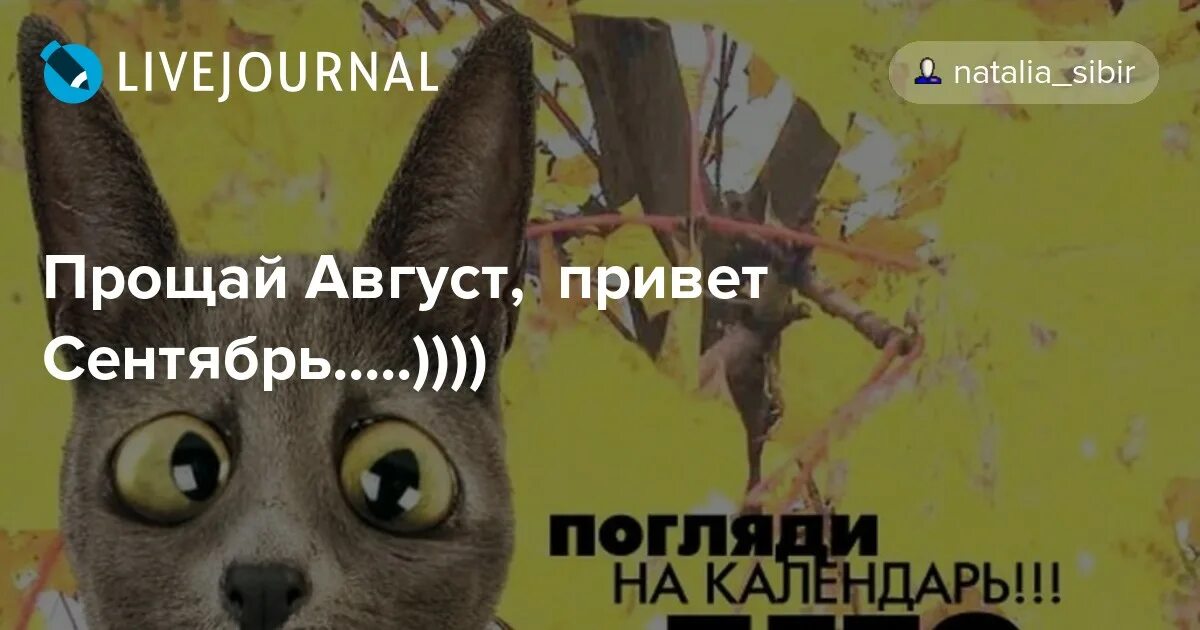 Прощай крылатые. Прощай август Здравствуй сентябрь. Привет от августа. Август, привет, не подведи!. Прощай 20 лет привет 21.